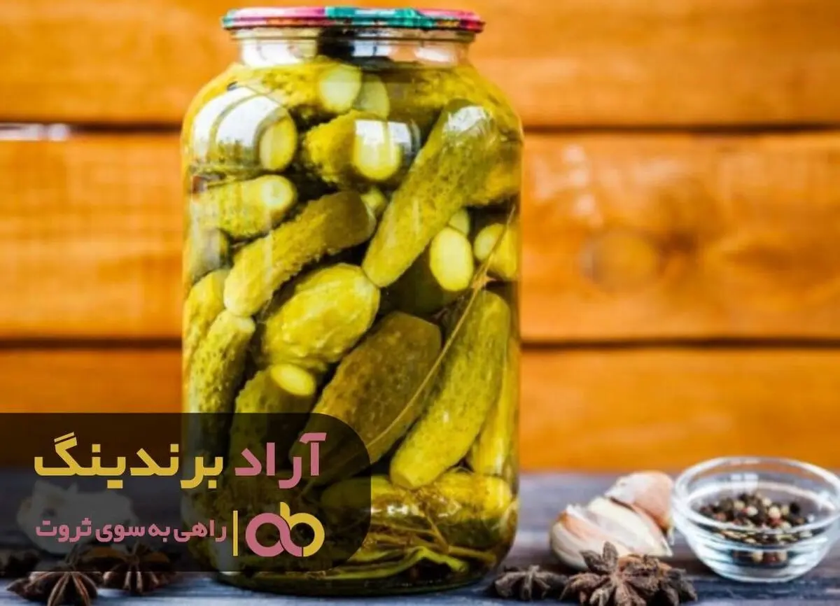 
خیارشور طعم گزنده بی پولی را برایم از بین برد