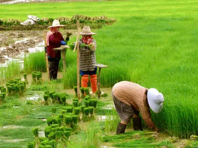 صندوق خرد زنان تضمینی برای کار آفرینی و اشتغال پایداردر روستاها