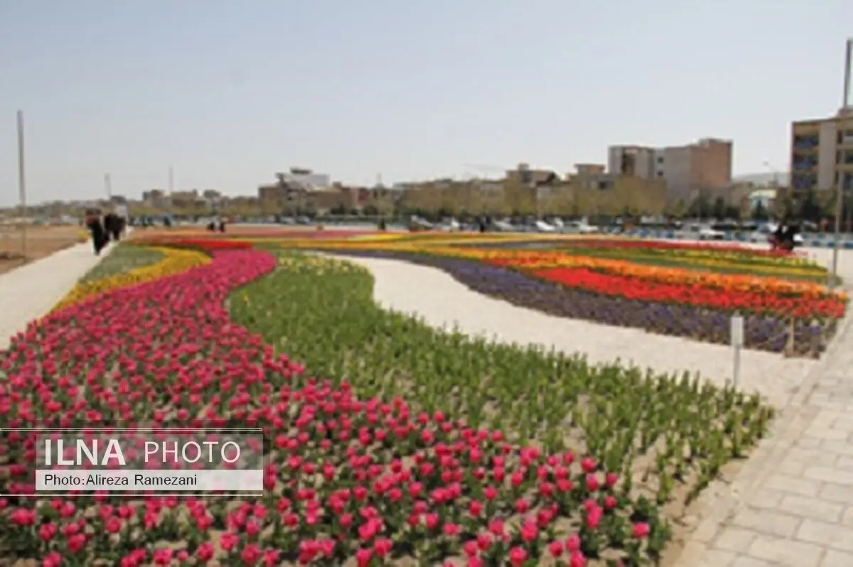 کاشت 3 میلیون از انواع نشاء گل‌های فصلی برای استقبال از بهار 95 در شهر ارومیه
