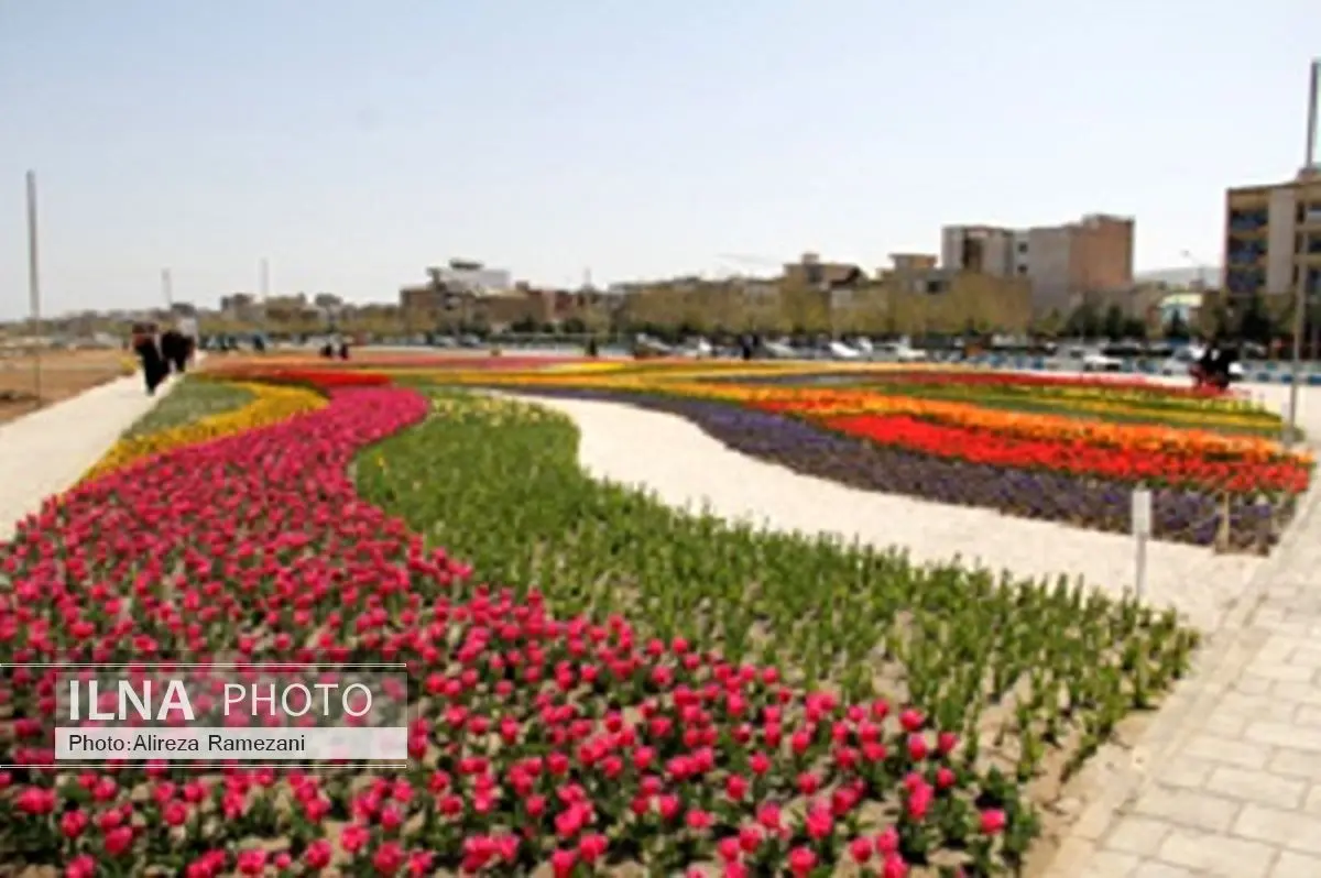 کاشت 3 میلیون از انواع نشاء گلهای فصلی برای استقبال از بهار 95 در شهر ارومیه