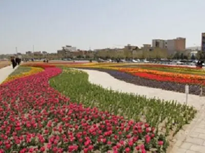 کاشت 3 میلیون از انواع نشاء گل‌های فصلی برای استقبال از بهار 95 در شهر ارومیه
