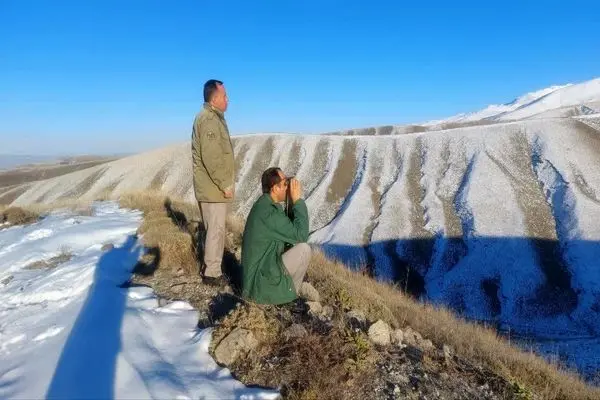 ۱۲ قبضه اسلحه از شکارچیان غیرمجاز در اردبیل کشف و ضبط شد