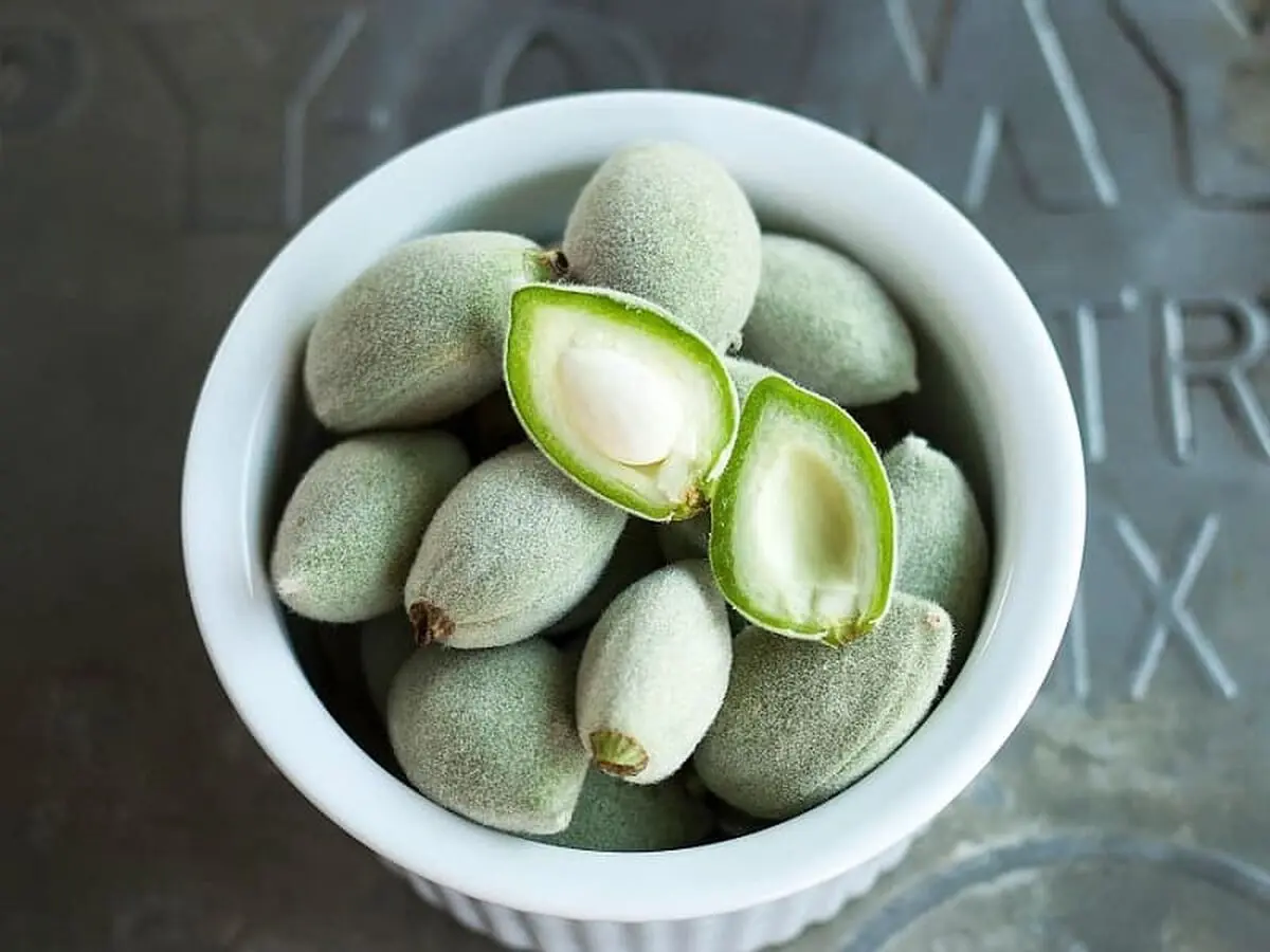 تمام عوارض خوردن بی‌ رویه چغاله بادام