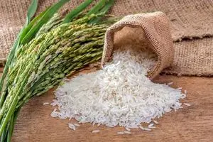 ناکامی طرح خرید برنج سنواتی به‌دلیل بدعهدی دولت/ تلاطم در بازار برنج به‌دلیل آشفتگی تصمیمات