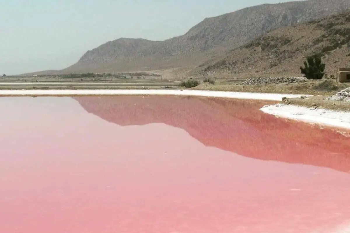 احیاء تالاب مهارلو پیش‌نیاز توسعه گردشگری است/تالاب مستعد میزبانی رشته های متنوع ورزشی است