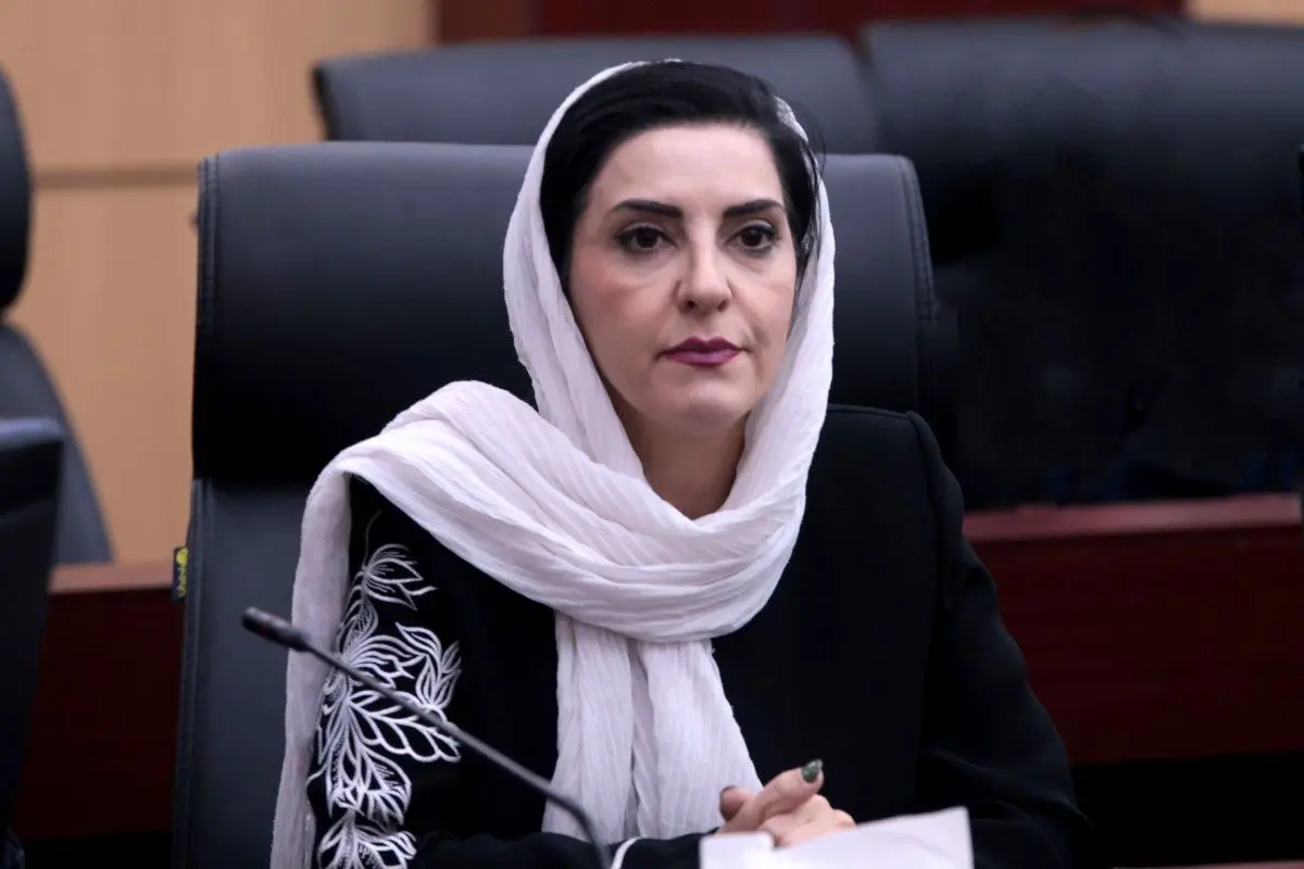 رشد نرخ ارز و افزایش بهای مواد اولیه عامل اصلی گرانی لوازم خانگی است