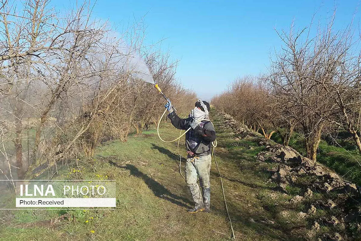 کمبود منابع مالی در جهاد کشاورزی برای کنترل باقیمانده سموم/ کشاورزان را آگاه نکردیم