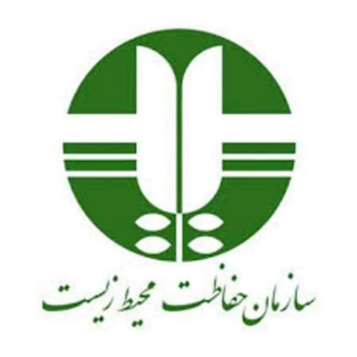 مصدومیت سه محیط‌بان در درگیری با صیادان غیرمجاز