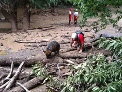 ۴ پیکر از خانواده ۵ نفره مفقود در سیل روستاهای الیگودرز پیدا شد