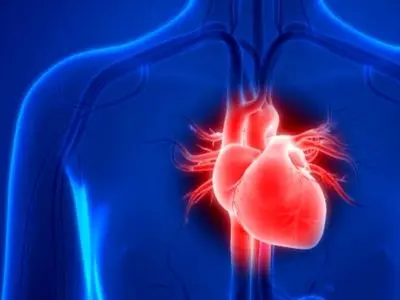 متخصص قلب و عروق: روزه گرفتن تا یکسال پس از حمله حاد قلبی توصیه نمی‌شود