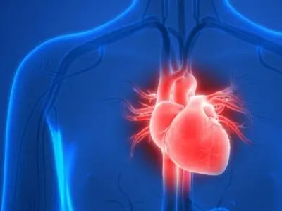 متخصص قلب و عروق: روزه گرفتن تا یکسال پس از حمله حاد قلبی توصیه نمی‌شود