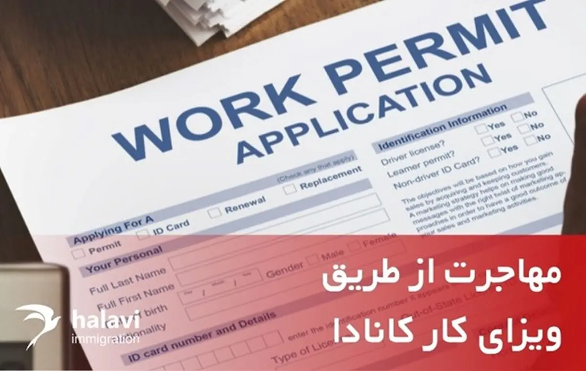همه چیز درباره مهاجرت با ویزای کار کانادا؛ راهی مطمئن برای شروع یک زندگی جدید