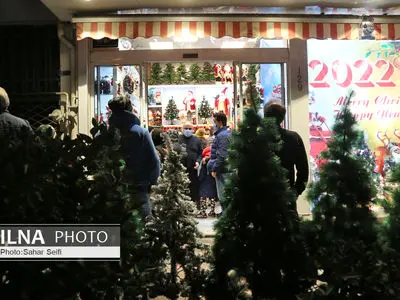 بلندترین درخت کریسمس جهان در بریتانیا + فیلم