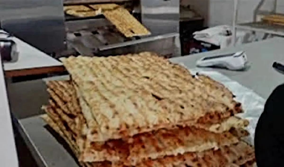 کشیک ۴۵۱ واحد نانوایی در مازندران 