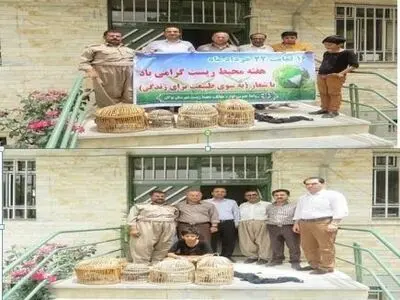 یک شکارچی دیگر زنده‌گیری کبک به جمع دوستداران طبیعت در بوکان پیوست