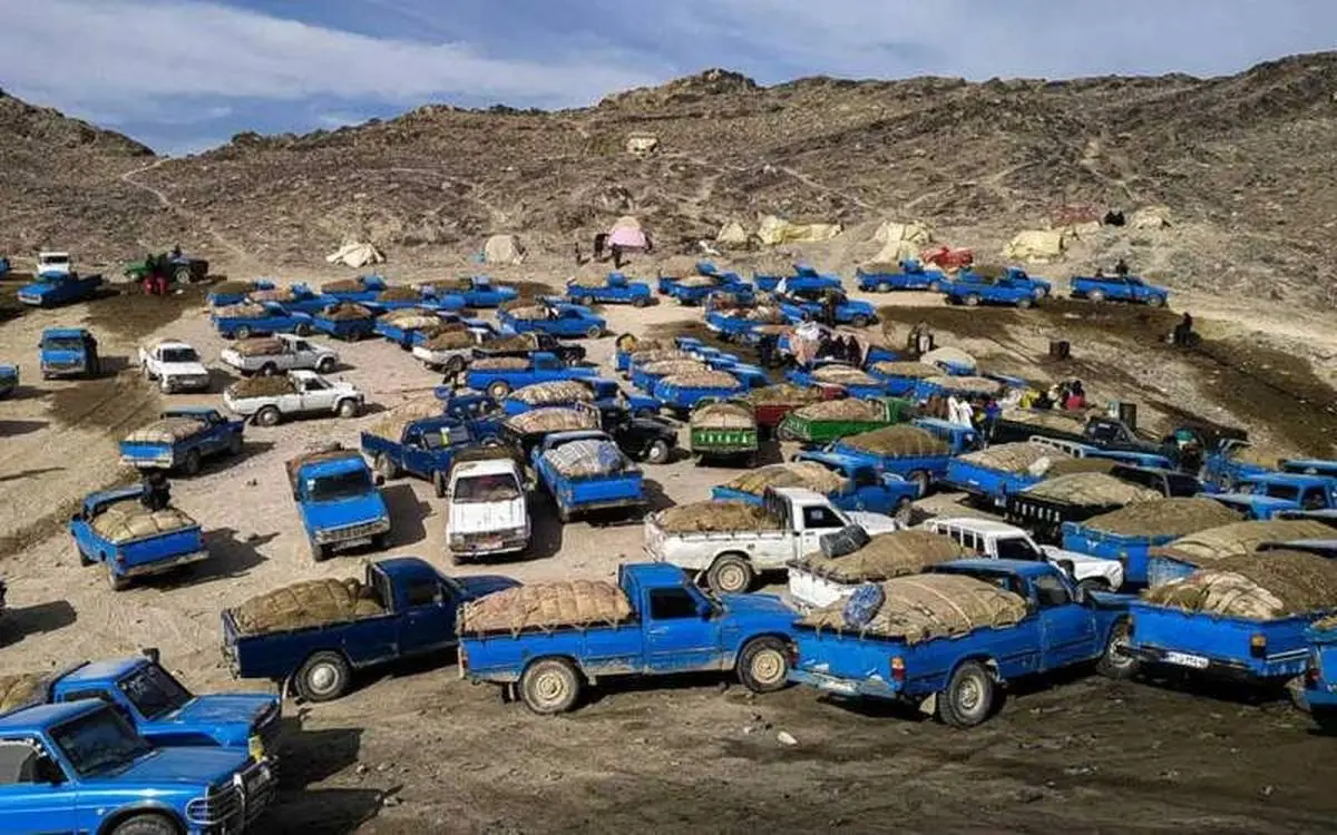 اصلاح ساختار مصرف سوخت و انسداد مسیر قاچاق