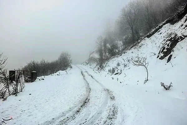 جاده چالوس بر اثر بارش سنگین برف مسدود شد